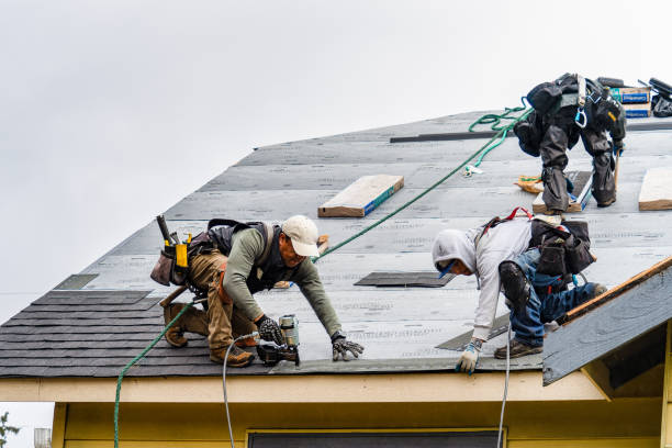 Professional Roofing technician working in Pinehurst, MA